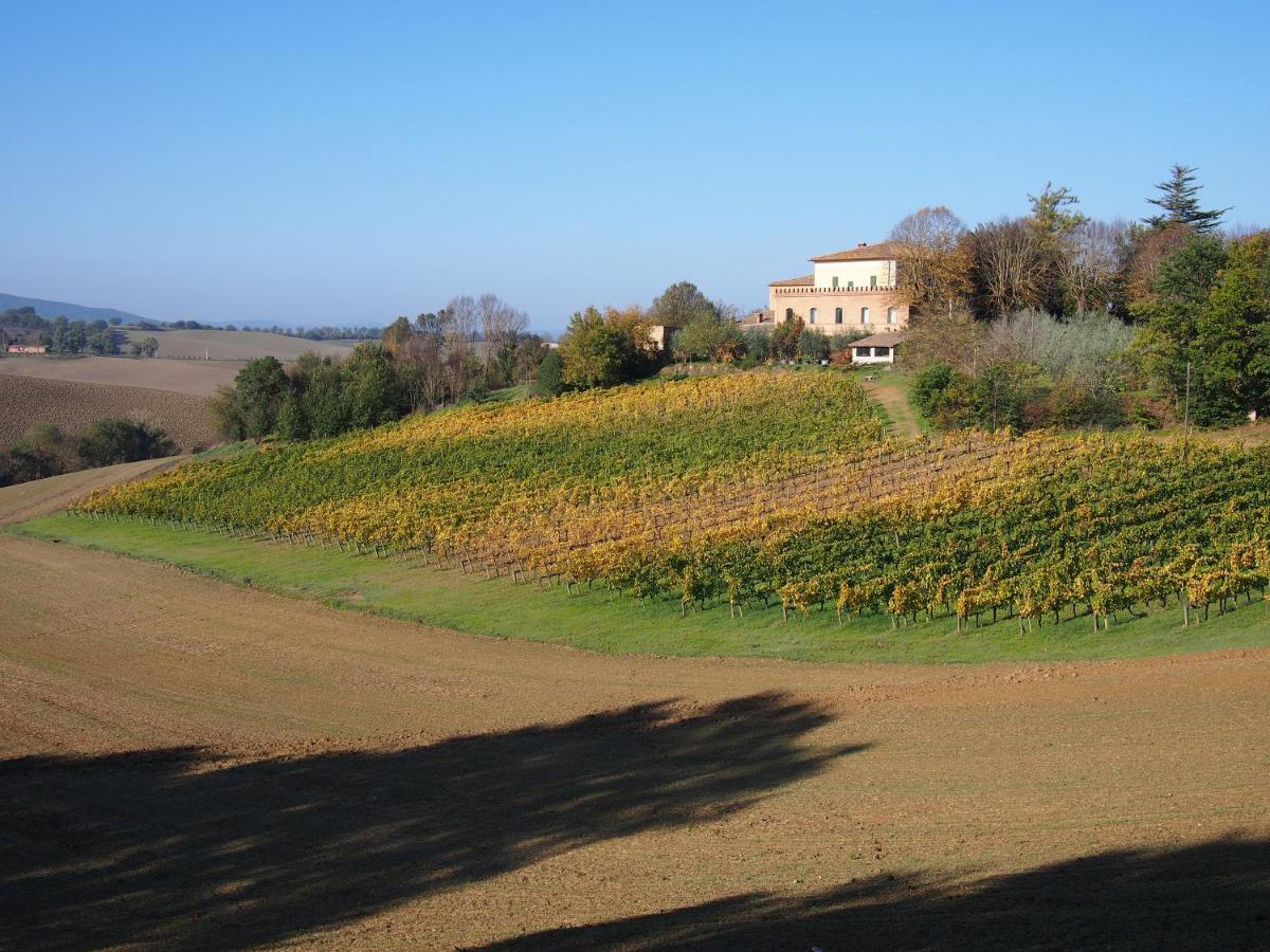 Agriturismo Poggiarellino - Montalcino Exterior photo