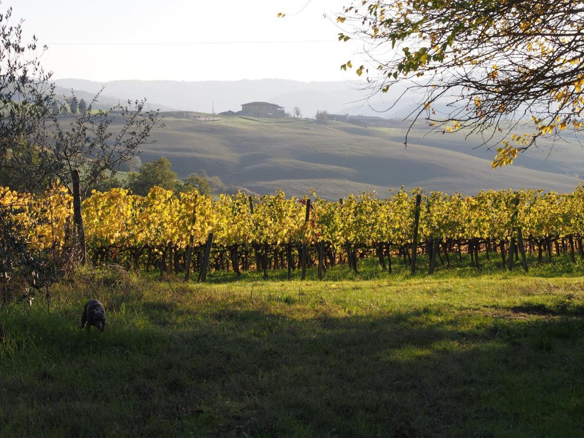 Agriturismo Poggiarellino - Montalcino Exterior photo