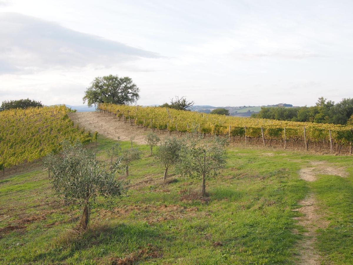 Agriturismo Poggiarellino - Montalcino Exterior photo